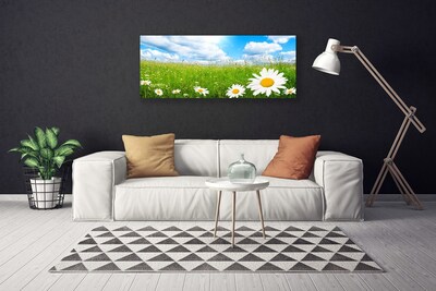 Canvas print Daisy grass nature white yellow green