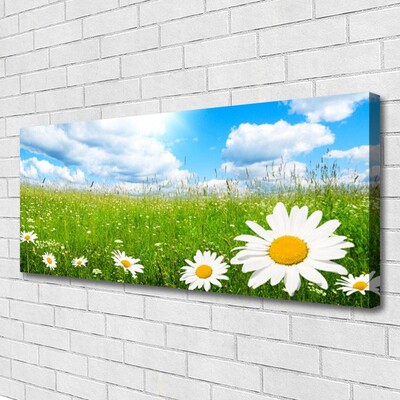 Canvas print Daisy grass nature white yellow green