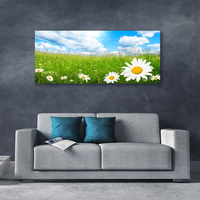 Canvas print Daisy grass nature white yellow green