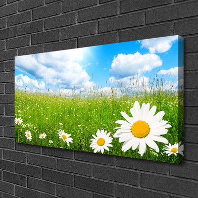 Canvas print Daisy grass nature white yellow green