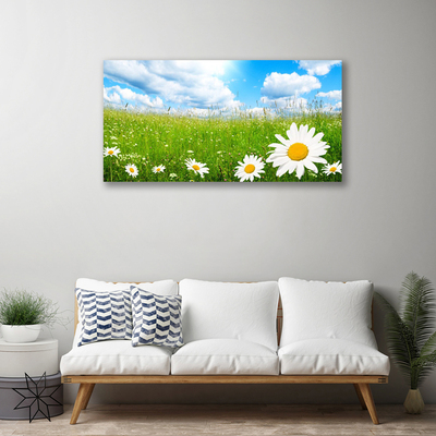 Canvas print Daisy grass nature white yellow green