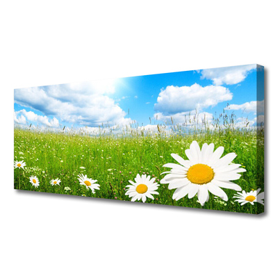 Canvas print Daisy grass nature white yellow green