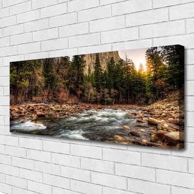Canvas print Forest lake nature green brown blue