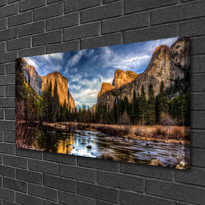 Canvas print Mountain forest lake nature green grey
