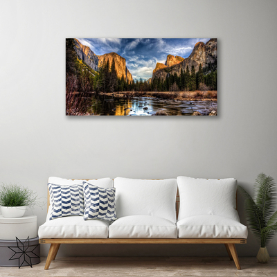 Canvas print Mountain forest lake nature green grey