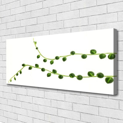 Canvas print Ornamental plant floral green white