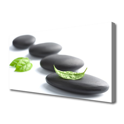 Canvas print Stones art black green white