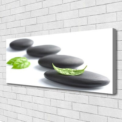 Canvas print Stones art black green white