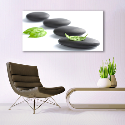 Canvas print Stones art black green white