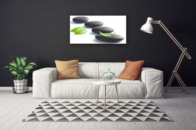 Canvas print Stones art black green white