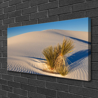 Canvas print Desert landscape brown green