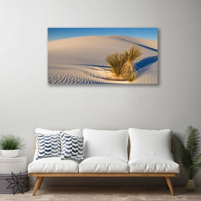 Canvas print Desert landscape brown green