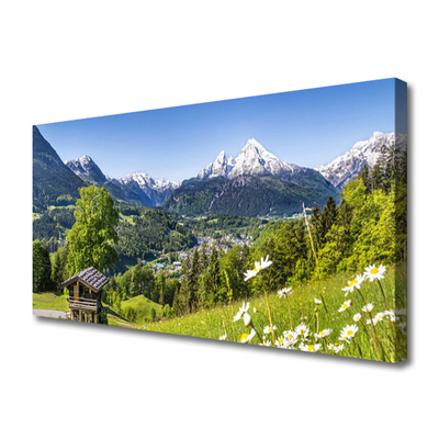 Canvas print Mountain fields nature green grey white