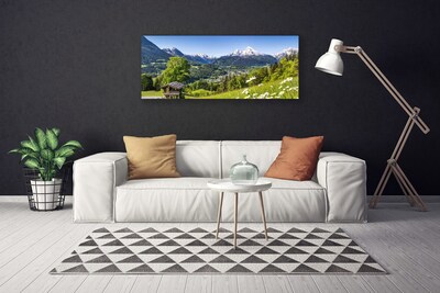 Canvas print Mountain fields nature green grey white