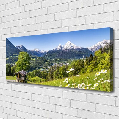 Canvas print Mountain fields nature green grey white