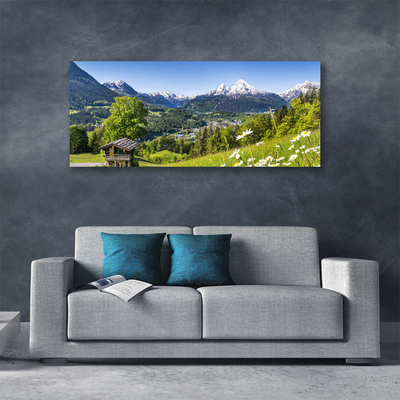 Canvas print Mountain fields nature green grey white