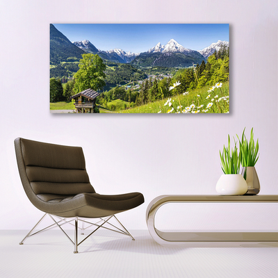 Canvas print Mountain fields nature green grey white