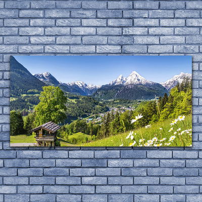 Canvas print Mountain fields nature green grey white