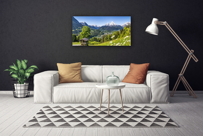 Canvas print Mountain fields nature green grey white