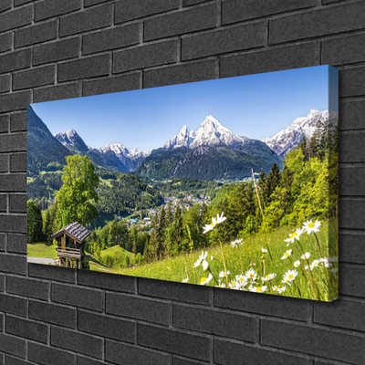 Canvas print Mountain fields nature green grey white