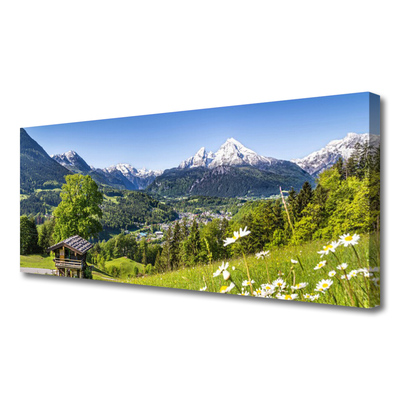 Canvas print Mountain fields nature green grey white