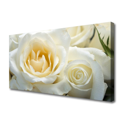 Canvas print Roses floral white green