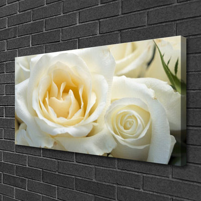 Canvas print Roses floral white green