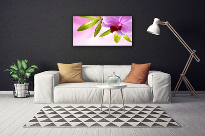 Canvas print Flower leaves floral pink green