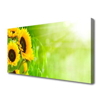 Canvas print Sunflowers floral brown yellow green