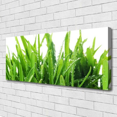 Canvas print Grass floral green