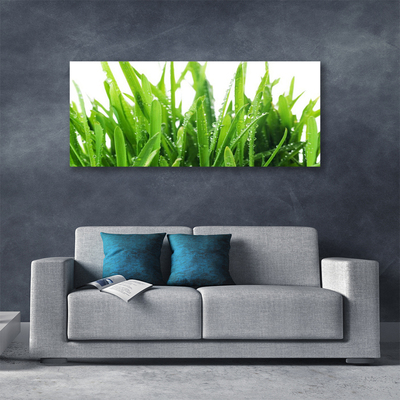 Canvas print Grass floral green