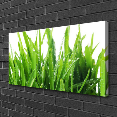 Canvas print Grass floral green