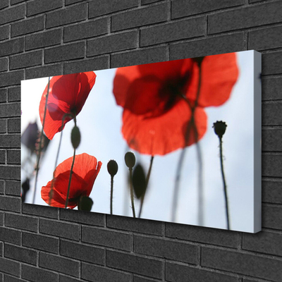 Canvas print Poppies floral red black