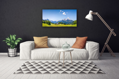 Canvas print Fields trees mountains landscape green grey white blue