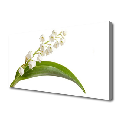 Canvas print Flowers floral white green