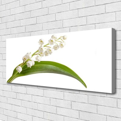 Canvas print Flowers floral white green