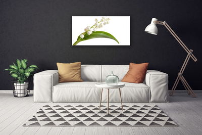 Canvas print Flowers floral white green