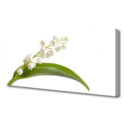 Canvas print Flowers floral white green