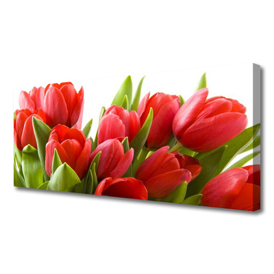 Canvas print Tulips floral red green