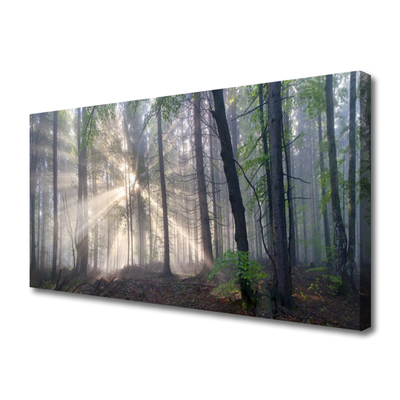 Canvas print Forest nature brown green