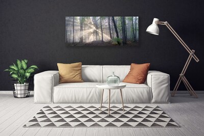 Canvas print Forest nature brown green