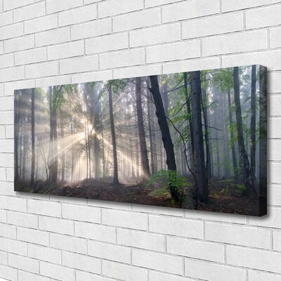 Canvas print Forest nature brown green