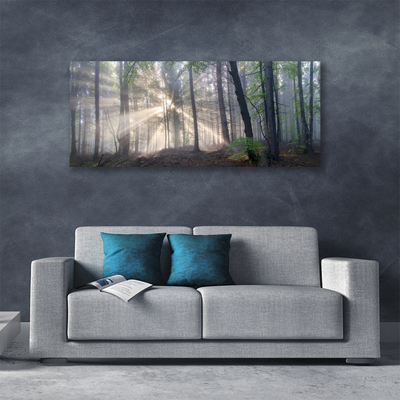 Canvas print Forest nature brown green