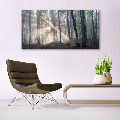 Canvas print Forest nature brown green