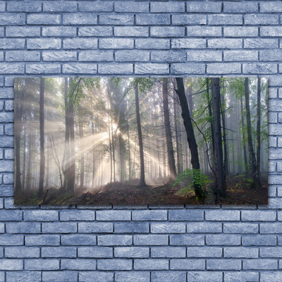 Canvas print Forest nature brown green