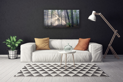 Canvas print Forest nature brown green