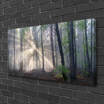 Canvas print Forest nature brown green