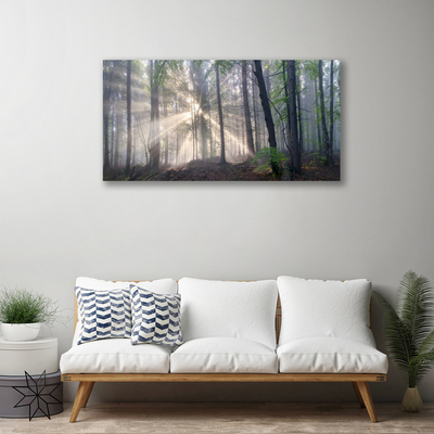 Canvas print Forest nature brown green