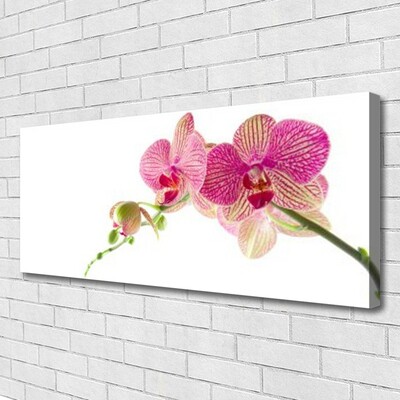 Canvas print Flowers floral green red