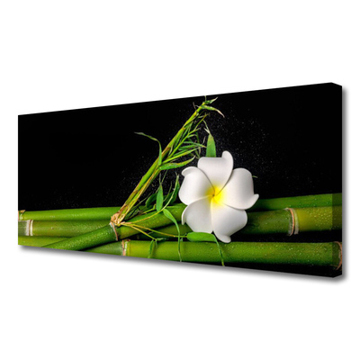 Canvas print Bamboo flower floral white green